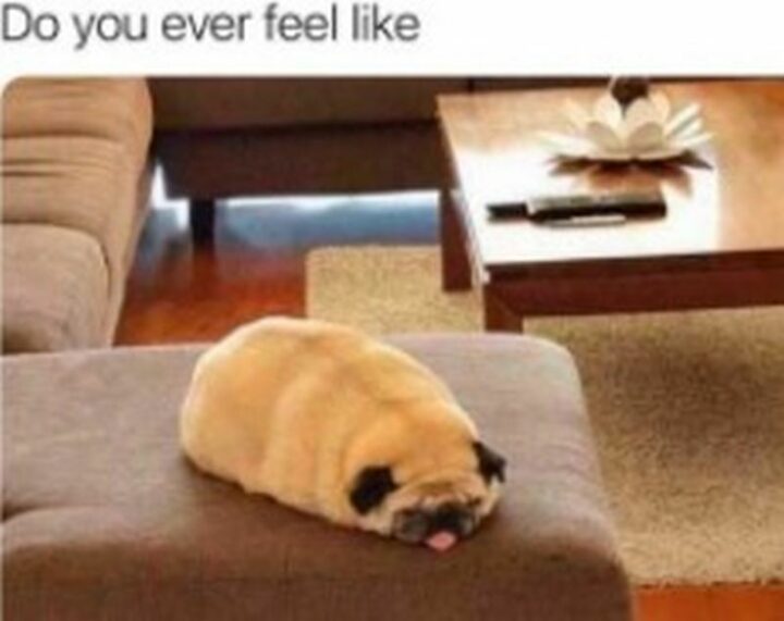 "Do you ever feel like..."