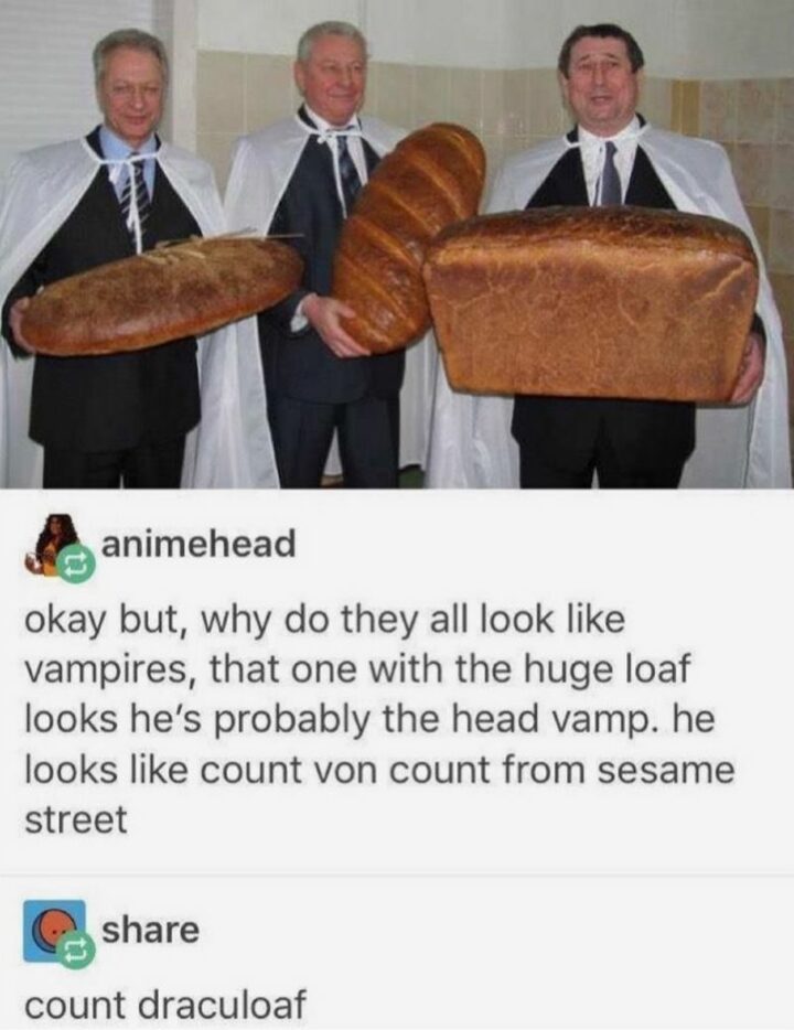 "Okay but, why do they all look like vampires, that one with the huge loaf looks like he's the head vamp. He looks like count von count from Sesame Street. Count Draculoaf."