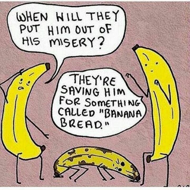 "When will they put him out of his misery? They're saving him for something called 'Banana bread.'"