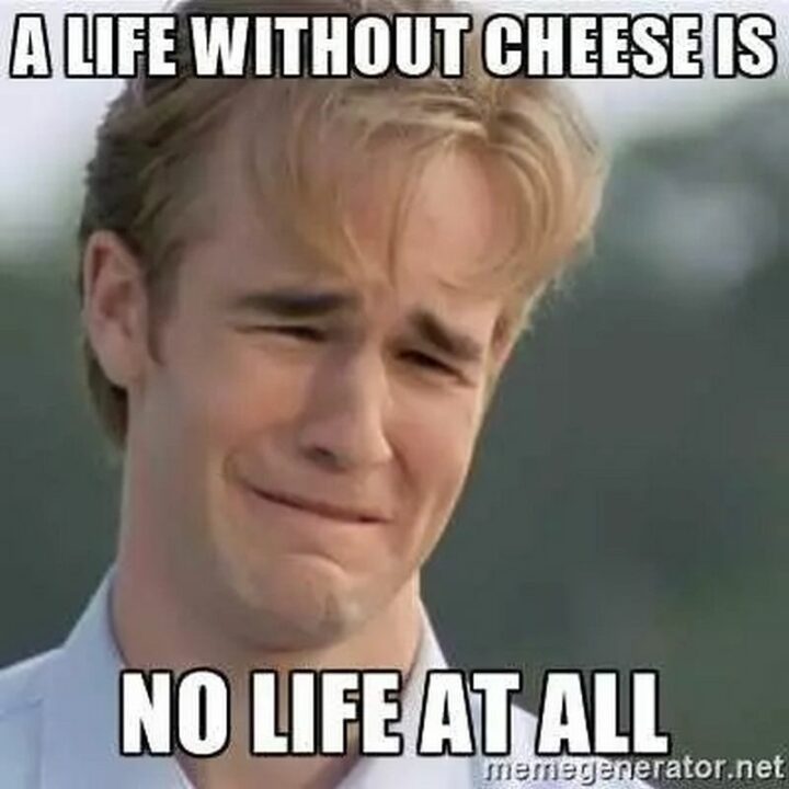 "A life without cheese is no life at all."