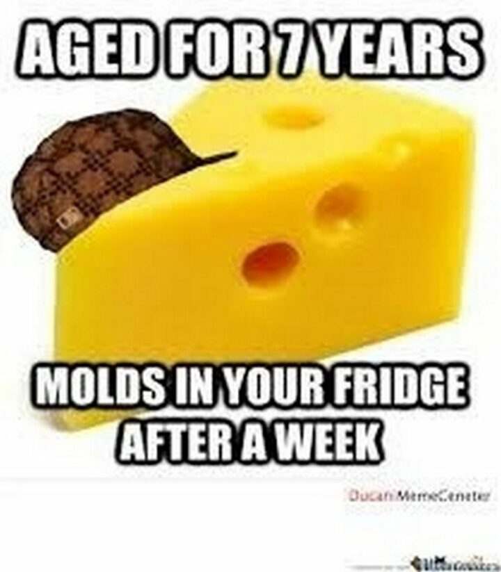 "Aged for 7 years. Molds in your fridge after a week."