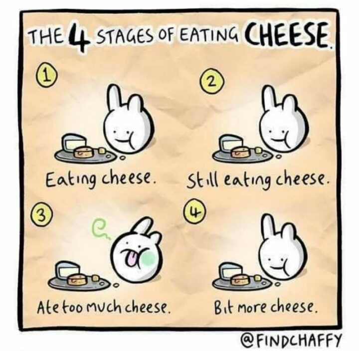"The 4 stages of eating cheese: Eating cheese. Still eating cheese. Ate too much cheese. A bit more cheese."
