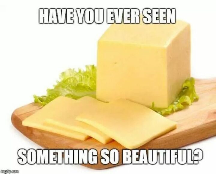 "Have you ever seen something so beautiful?"