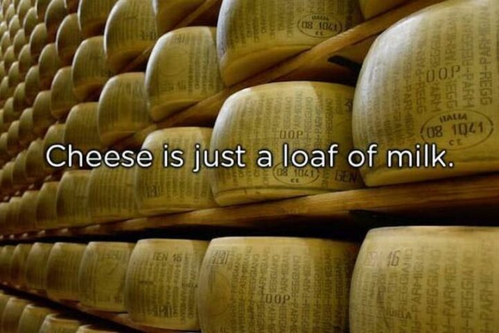 "Cheese is just a loaf of milk."