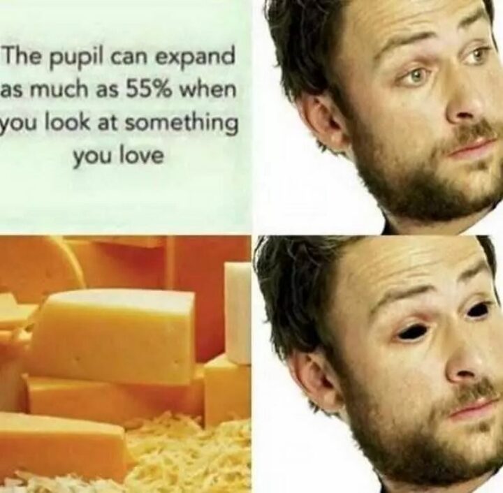 "The pupil can expand as much as 55% when you look at something you love."