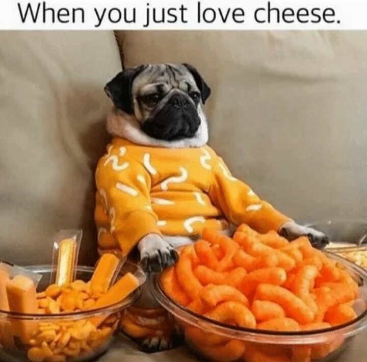 "When you just love cheese."