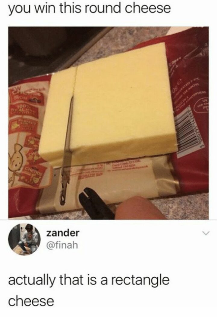 "You win this round cheese. Actually, that is a rectangle cheese."