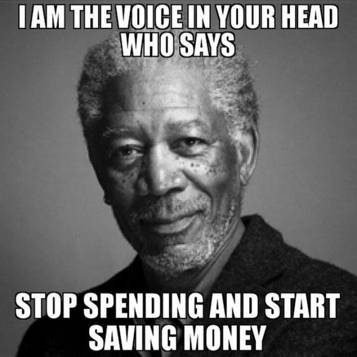 71 Money Memes - "I am the voice in your head who says, 'Stop spending and start saving money.'"