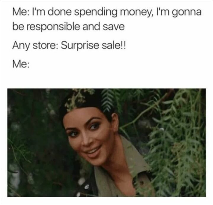 71 Money Memes - "Me: I'm done spending money, I'm gonna be responsible and save. Any store: Surprise sale! Me:"