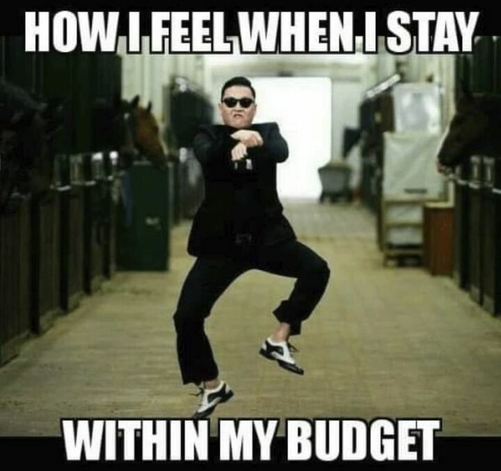 "How I feel when I stay within my budget."