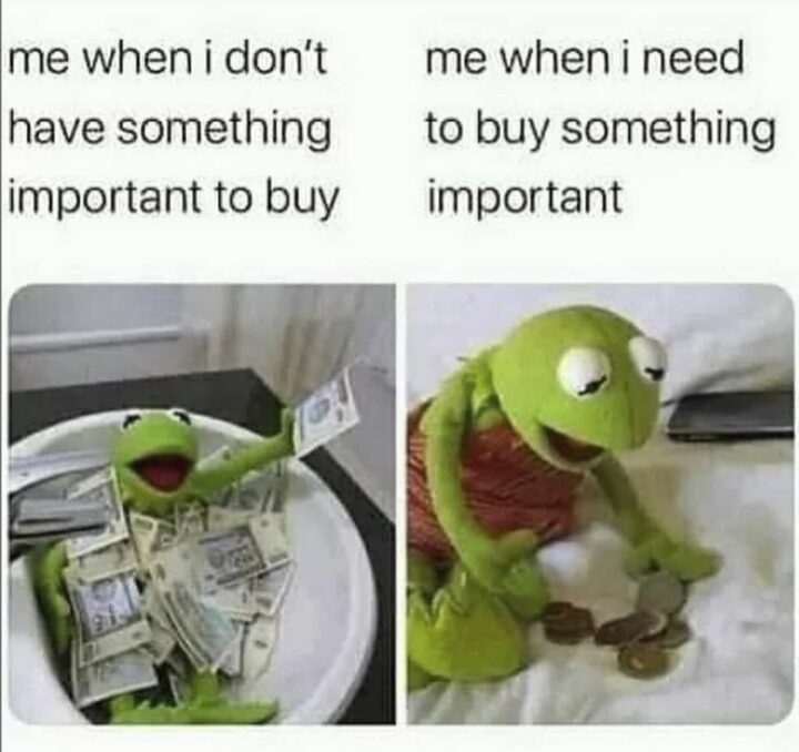 "Me when I don't have something important to buy. Me when I need to buy something important."