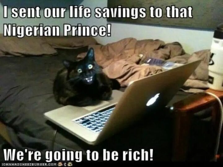 "I sent our life savings to that Nigerian prince! We're going to be rich!"