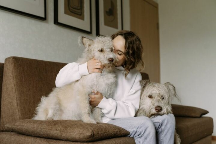 Spend time with your pets.