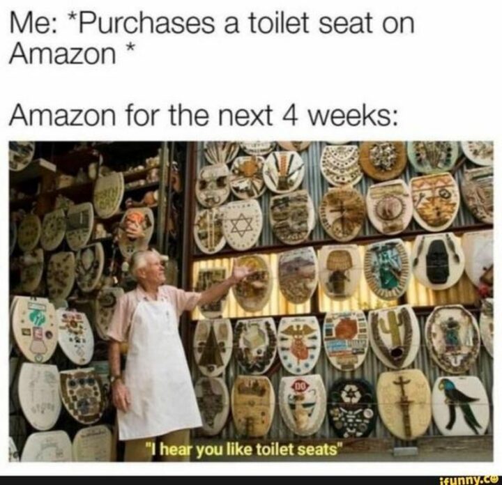 "Me: *Purchases a toilet seat on Amazon* Amazon for the next 4 weeks: I hear you like toilet seats."
