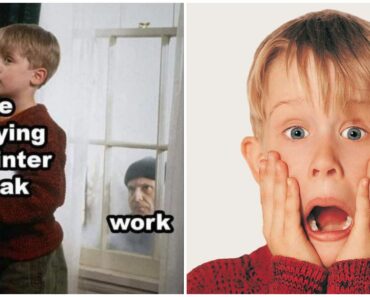 43 Funny Home Alone Memes