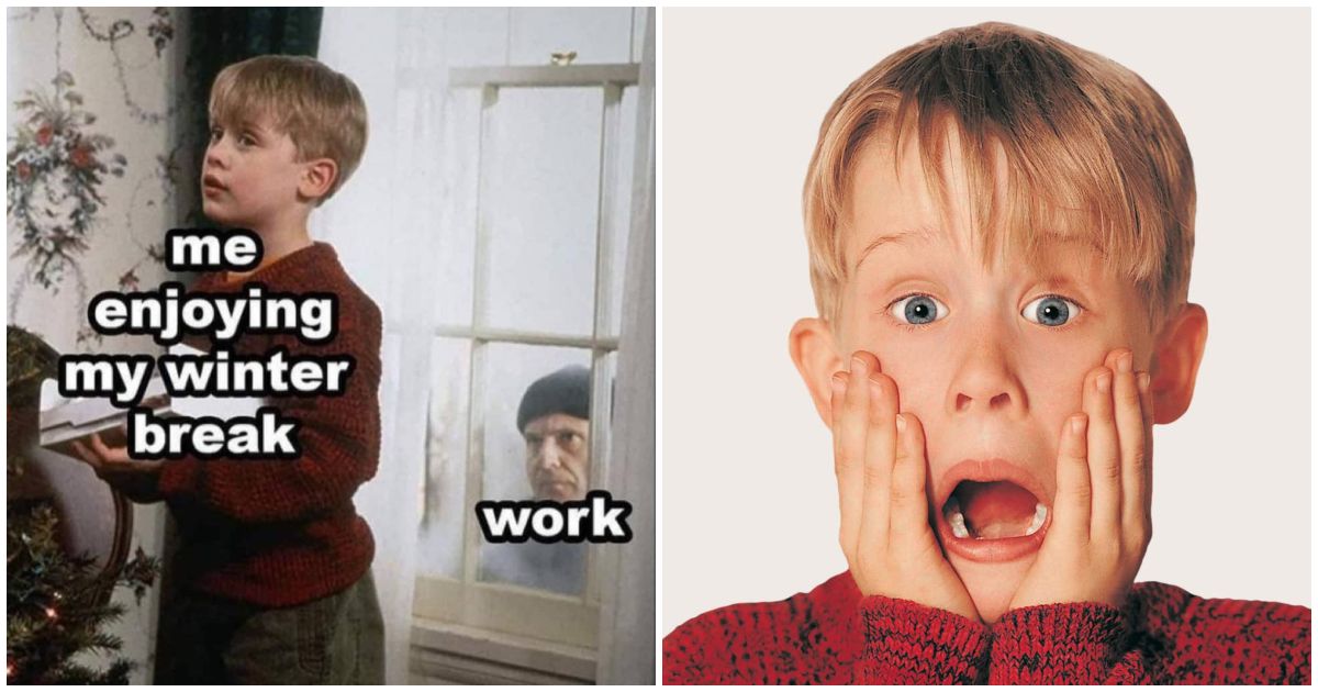 43 Funny Home Alone Memes