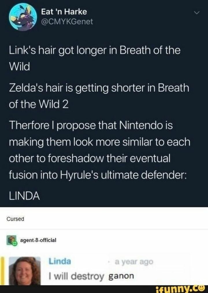 "Link's hair got longer in Breath of the Wild. Zelda's hair is getting shorter in Breath of the Wild 2. Therefore I propose that Nintendo is making them look more similar to each other to foreshadow their eventual fusion into Hyrule's ultimate defender: LINDA. Linda: I will destroy Ganon."