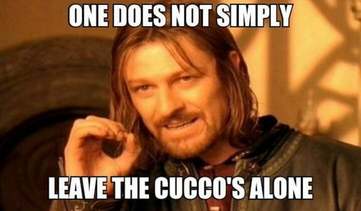 "One does not simply leave the cucco's alone."