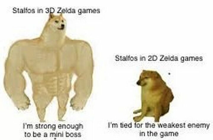 "Stalfos in 3D Zelda games: I'm strong enough to be a mini-boss vs. Stalfos in 2D Zelda games: I'm tied for the weakest enemy in the game."