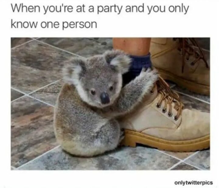 "When you're at a party and you only know one person."