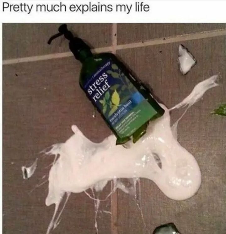 "Pretty much explains my life."