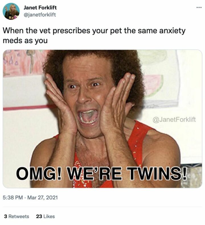 "When the vet prescribes your pet the same anxiety meds as you: OMG! We're twins!"