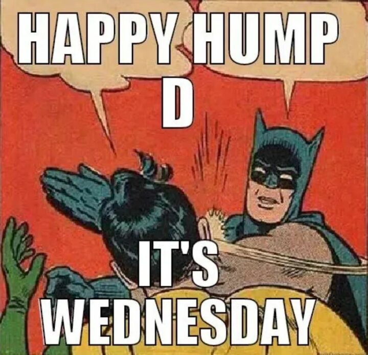 59 Hump Day Memes - "Happy hump day. It's Wednesday."