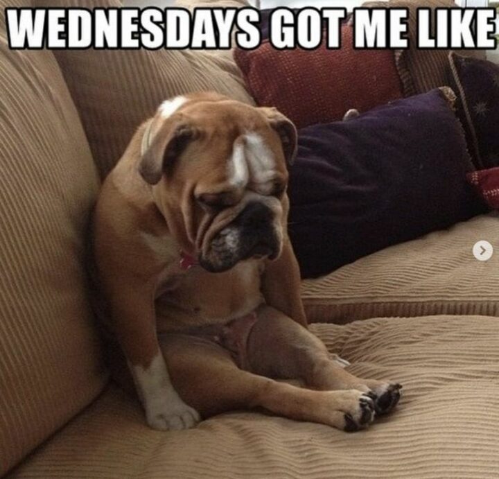 "Wednesdays got me like."