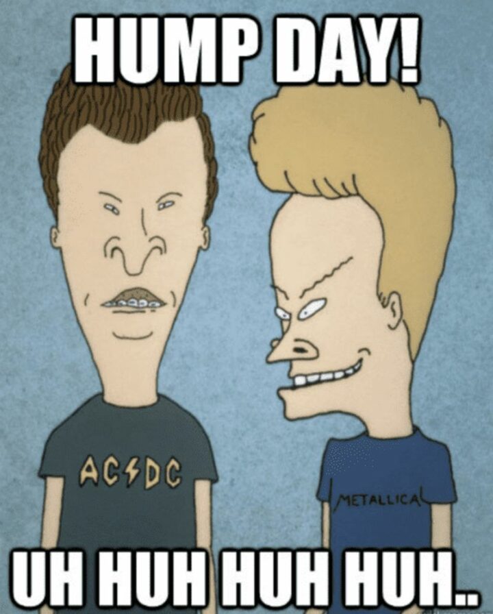 "Hump day! Uh huh huh huh..."
