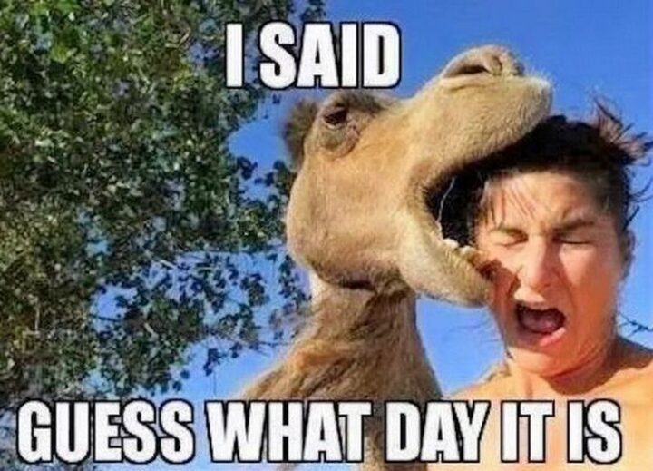 "I said guess what day it is."