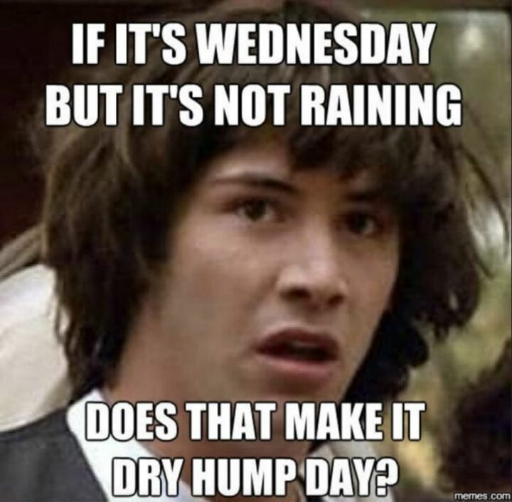 "If it's Wednesday but it's not raining does that make it a dry hump day?"