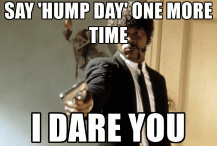 "Say 'Hump day' one more time. I dare you."