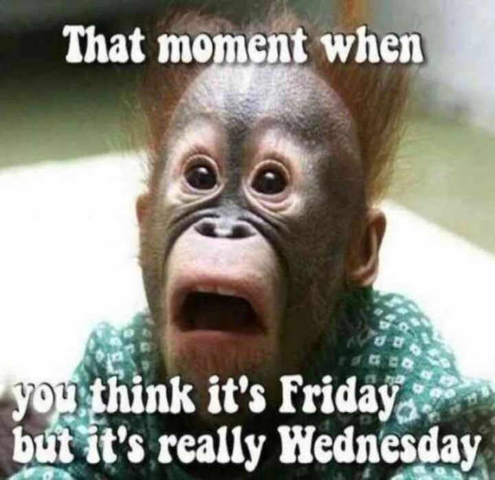 "That moment when you think it's Friday but it's really Wednesday."