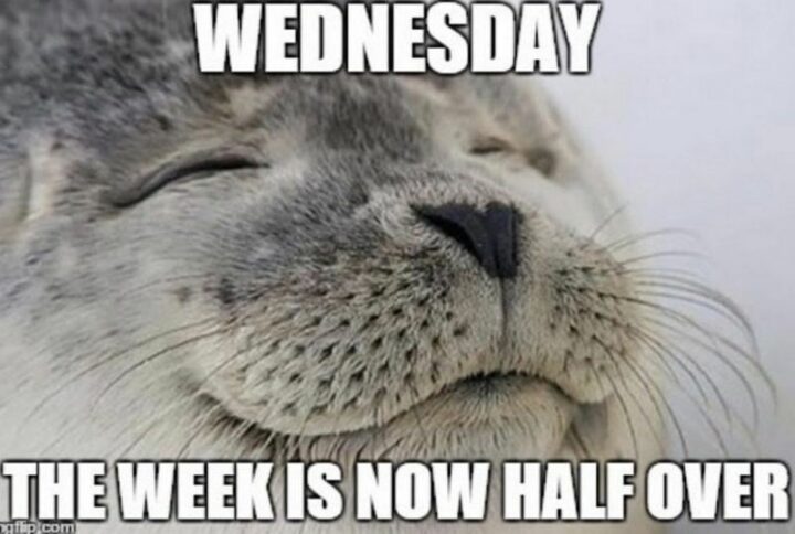 "Wednesday. The week is now half over."