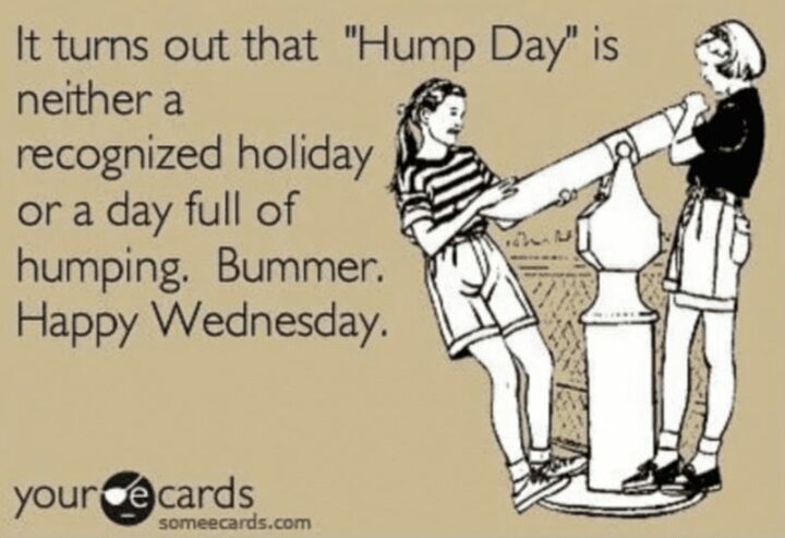 "It turns out that 'Hump day' is neither a recognized holiday nor a day full of humping. Bummer. Happy Wednesday."