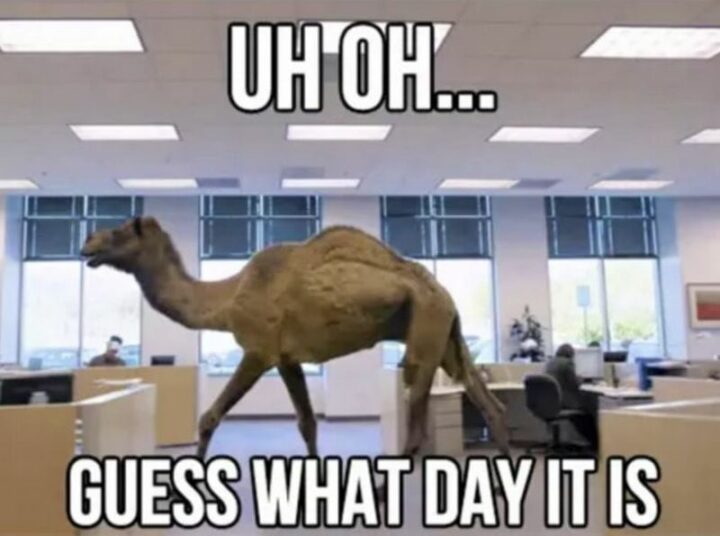 "Uh oh...Guess what day it is."