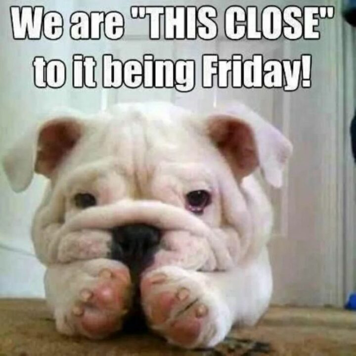 "We are 'THIS CLOSE' to it being Friday!"