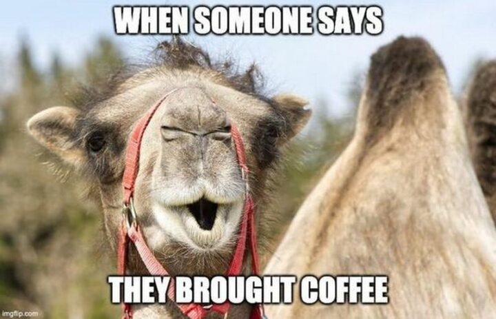 "When someone says they brought coffee."