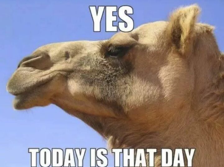 "Yes, today is that day."