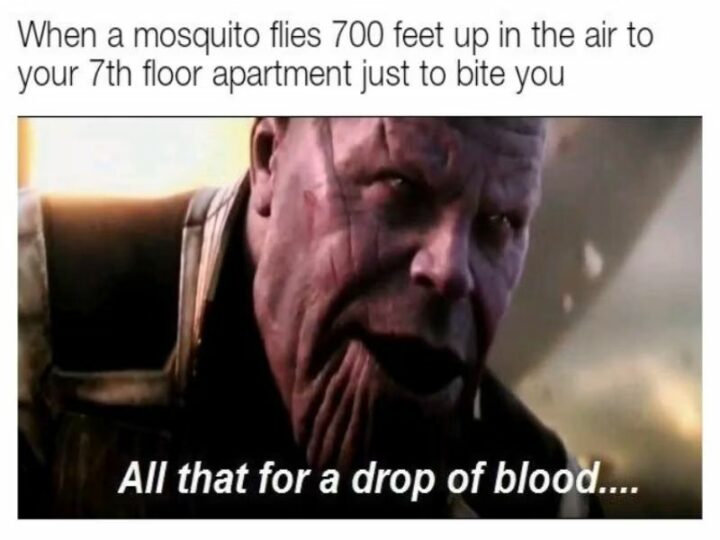27 Thanos Memes  - "When a mosquito flies 700 feet up in the air to your 7th-floor apartment just to bite you: All that for a drop of blood..."