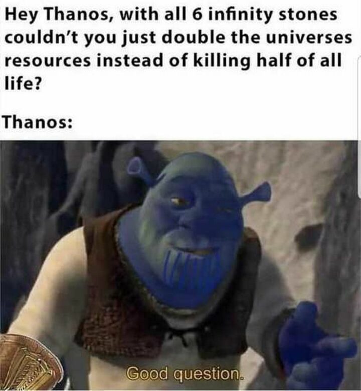 27 Thanos Memes  - "Hey, Thanos, with all 6 infinity stones couldn't you just double the universe's resources instead of killing half of all life? Thanos: Good question."