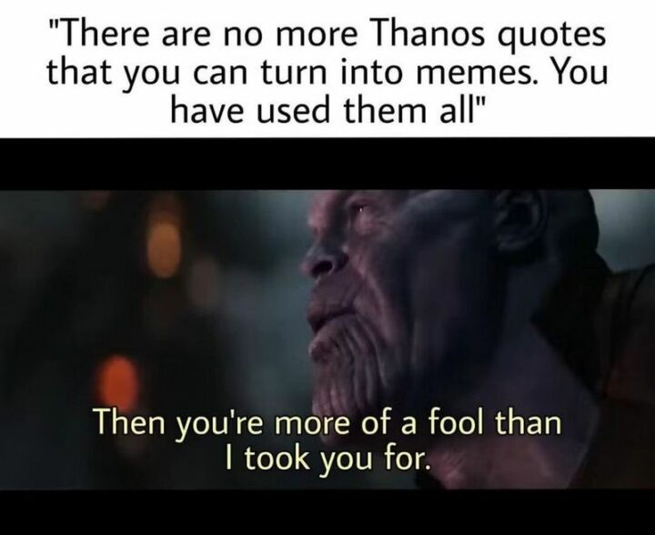 "There are no more Thanos quotes that you can turn into memes. You have used them all: Then you're more a fool than I took you for."
