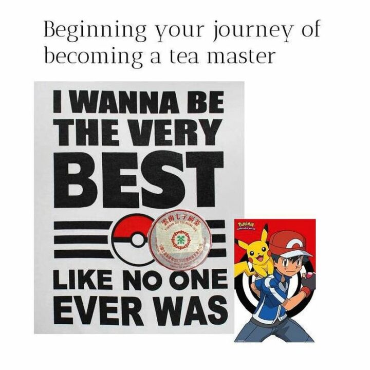 "Beginning your journey of becoming a tea master: I wanna be the very best like no one ever was."