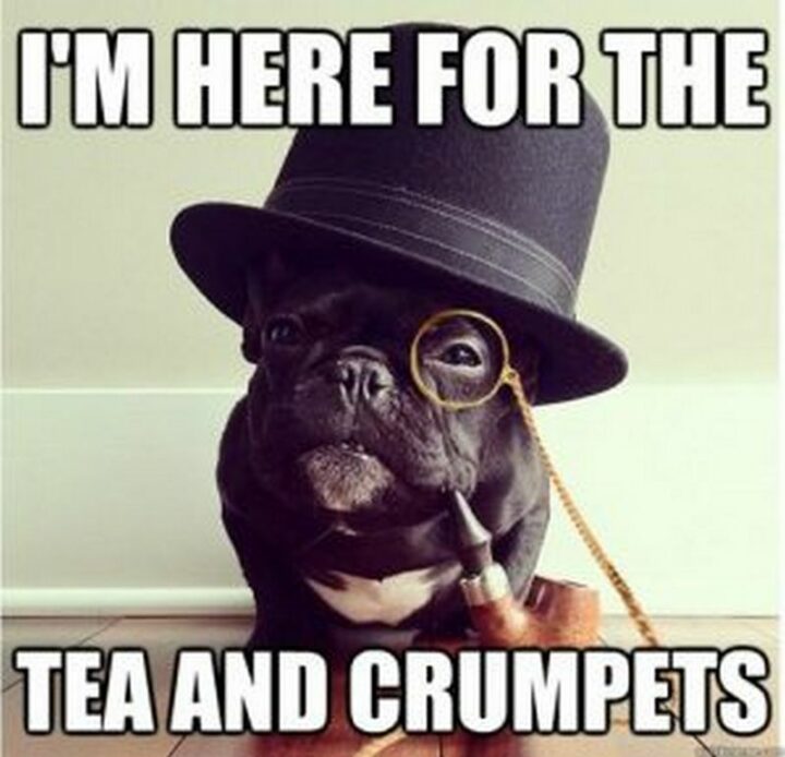 "I'm here for the tea and crumpets."