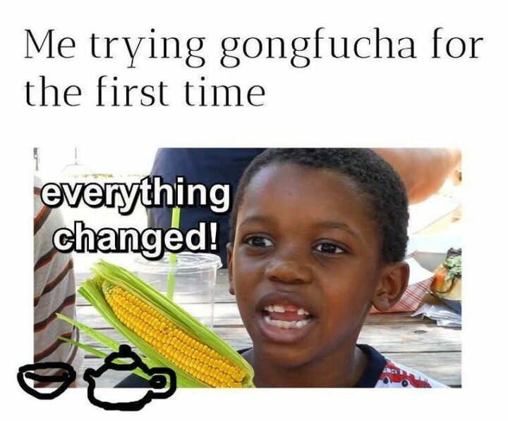 "Me trying gongfu cha for the first time: Everything changed!"