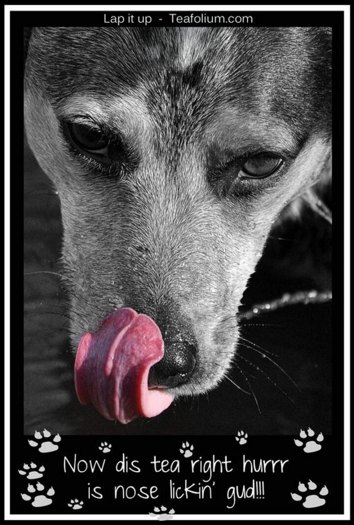 "Now dis tea right here is nose lickin' good!!!"