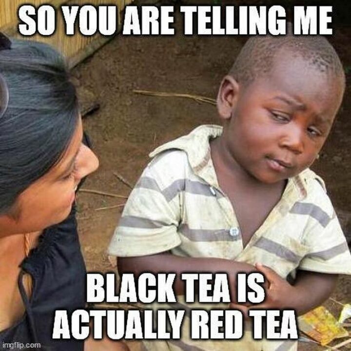 "So are you telling me black tea is actually red tea?"