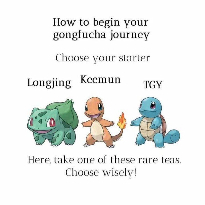 "How to begin your gongfu cha journey. Choose your starter: Longjing, Keenum, or TGY. Here, take one of these rare teas. Choose wisely!"