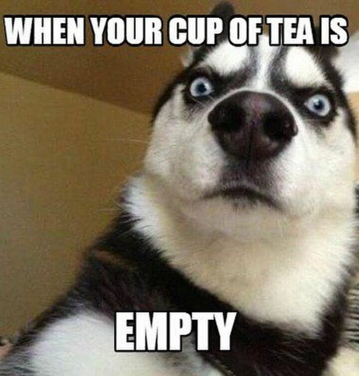 "When your cup of tea is empty."