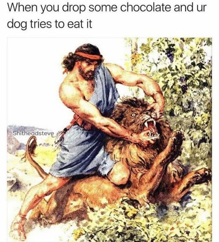 "When you drop some chocolate and ur dog tries to eat it."
